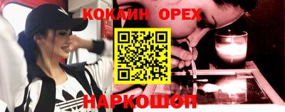 МДПВ Кингисепп