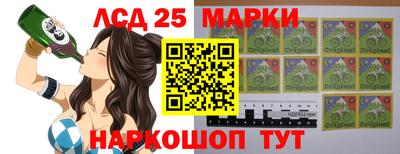 МДПВ Кингисепп