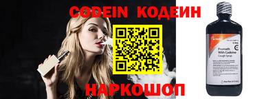 МДПВ Кингисепп