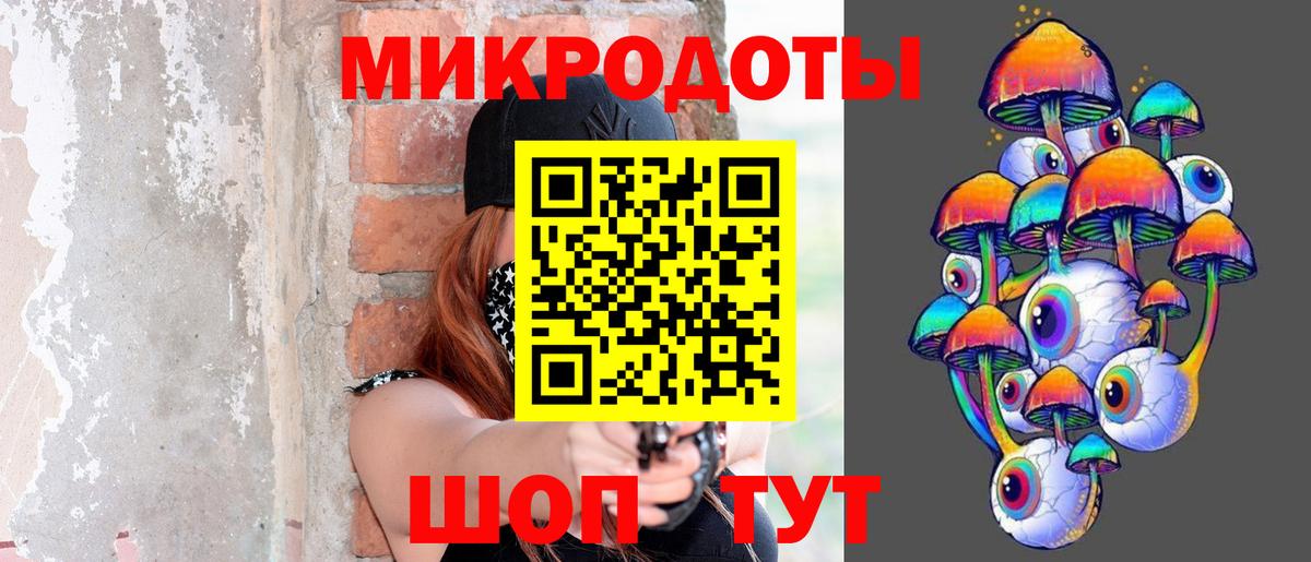 Псилоцибиновые грибы Psilocybe  Вход с VPN  Энгельс 