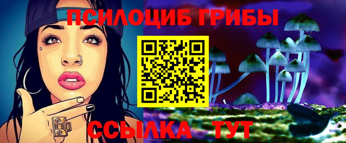 Псилоцибиновые грибы мухоморы Энгельс